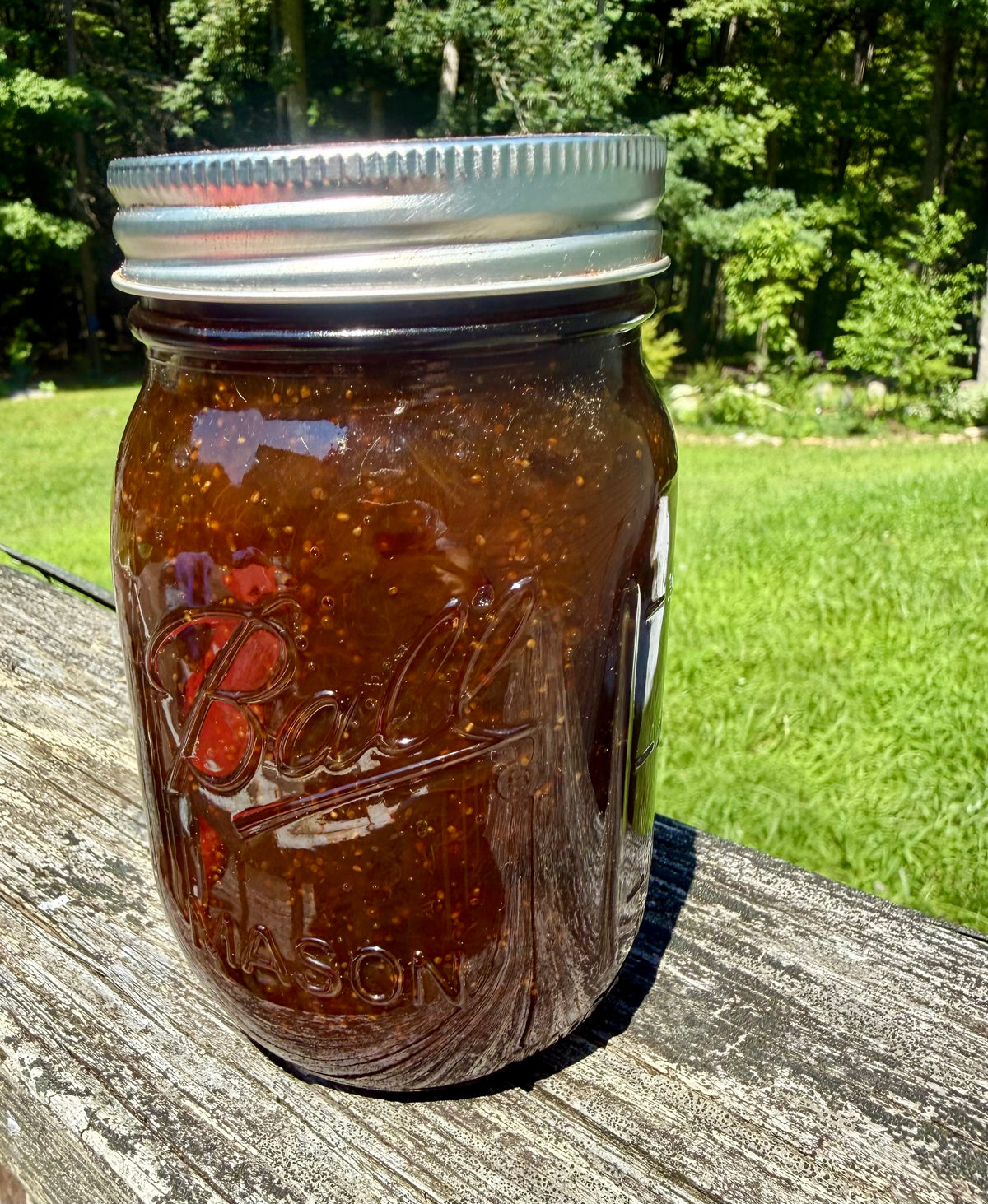 Organic Homegrown Low Sugar Fig Jam Eastwoods Organics 16 oz